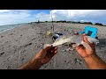 Pesca de playa shark's Beach surf fishing venice fl