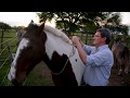 Cuanto peso soporta un caballo - Caballos Argentinos - Luciano Marelli