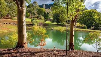 LEWANA COTTAGES FARM STAY