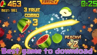 | Fruit Ninja Classic || Best Paid game || Gameplay || Must watch | screenshot 5