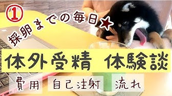 自己注射 Youtube 自己注射 Youtube