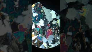 2162-16 | Apatite (XPL)