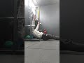 Inverted row myotatic reps