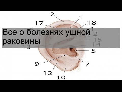 Все о болезнях ушной раковины