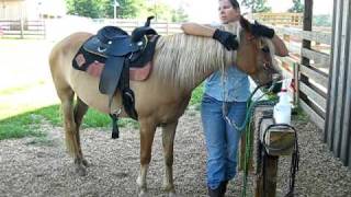 MVI_4382.AVI