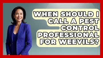 When Should I Call A Pest Control Professional For Weevils? - Insects and Invaders