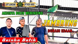 AKSI CUCAK IJO JAMBRUNG TAMBAH SADIS DI SOFT LAUNCHING GMM screenshot 5