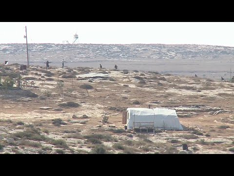 كيف كان موسم قطف الزيتون في الضفة الغربية هذا العام؟