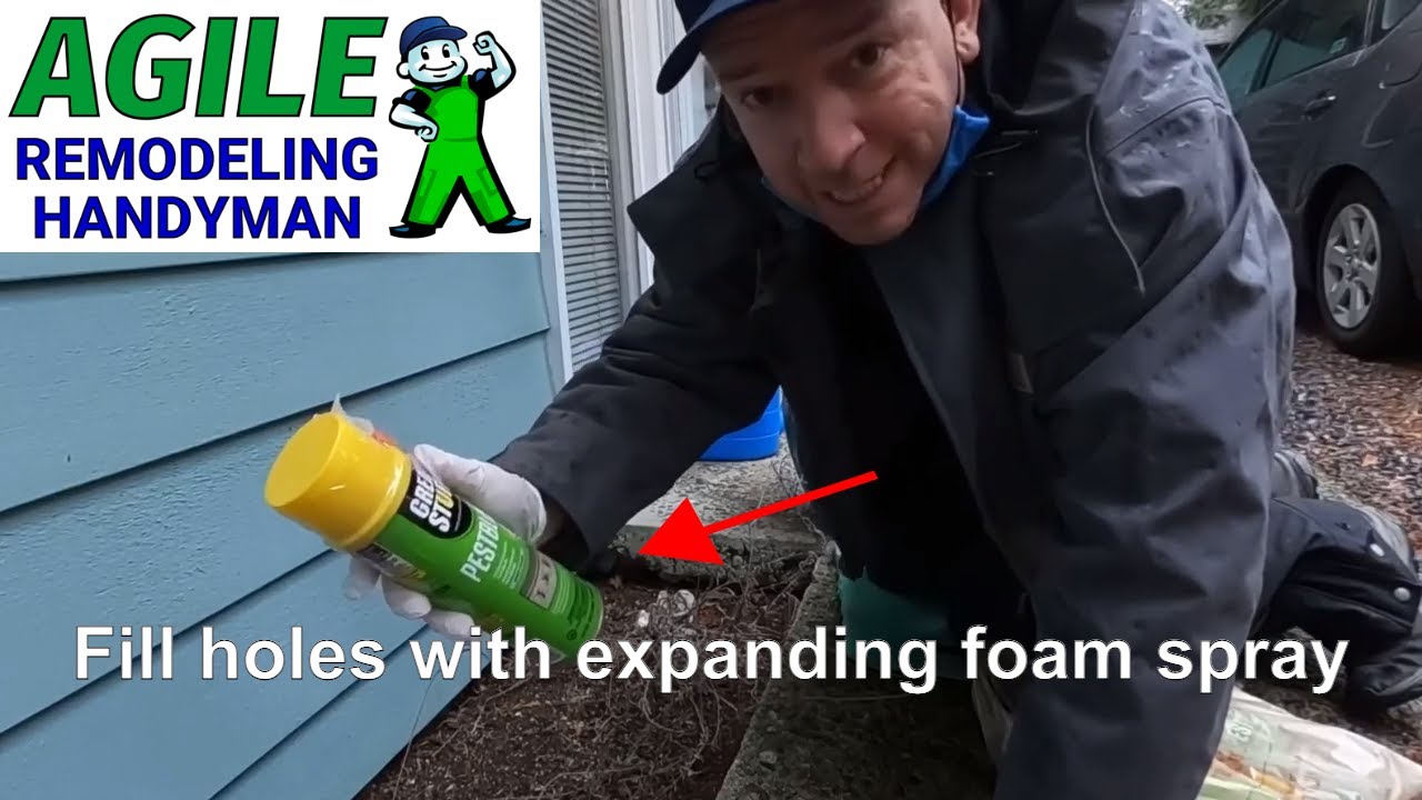 How to Use Tomcat® Rodent Block Expanding Foam Barrier 