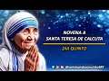 Novena a Santa Teresa de Calcuta Día 5