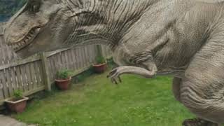How to bring a 3D DINOSAUR to your House | Augmented Reality Dinosaur Google | Lockdown fun screenshot 5
