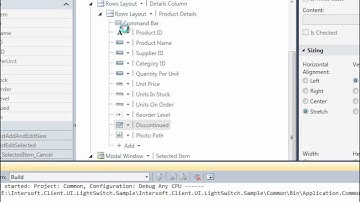 Getting Started using ClientUI controls with Microsoft Visual Studio LightSwitch Application