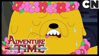 Is That You? | Adventure Time | Cartoon Network