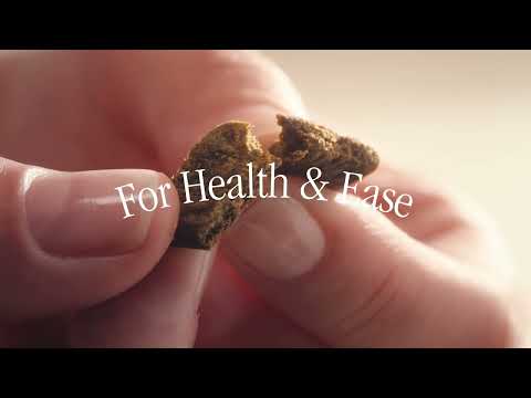 Sundays For Dogs YouTube ad: What If Feeding Your Dog Fresh Whole Foods Was Easy?