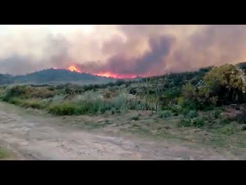 Incendio en Pehuen Co