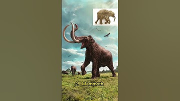 Thumbnail of *SHOCK* Frozen in Time: Prehistoric Animals Found Trapped in Ice