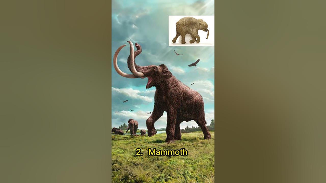 *SHOCK* Frozen in Time: Prehistoric Animals Found Trapped in Ice *SHOCK* Frozen in Time: Prehistoric Animals Found Trapped in Ice