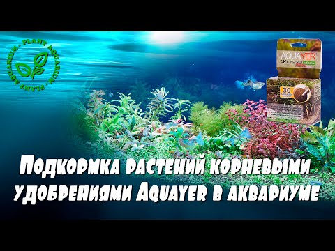 Подкормка растений корневыми
