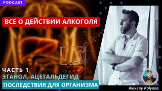 ВСЕ О ДЕЙСТВИИ АЛКОГОЛЯ. Влияние на печень, последствия для организма