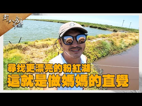性別揭曉後的小約會 這就是做媽媽的直覺【野人八號倉庫】