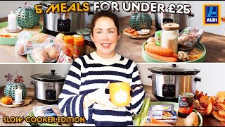 5 SLOW COOKER MEALS FOR UNDER £25 FROM ALDI | Autumn 2023 Dump & Go Slow Cooker Meals | Budget Meals