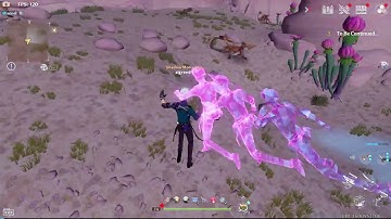 Shiro matrices experiment