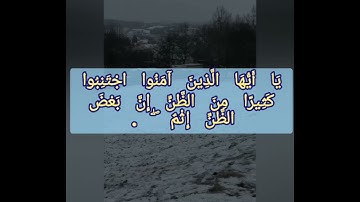 سورة الحجرات الآية 10و 11و 12.