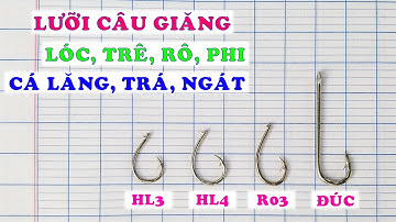 BÁN LƯỠI CÂU GIĂNG cá lóc, trê, cá tra, cá lăng, cá tra nhiều kích cỡ, đầy đủ loại