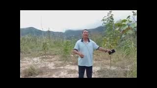 Lagu Tebe-Terbaru-Dahur-Uma-Lulik-Cipt-Voc-Asidu-De-Carfallo