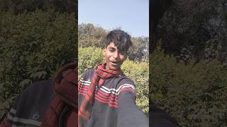 Yeh line usual#ly romantic conte😉🤗💯 mein use hoti hai, jab koi apne intense pyaar k#o express karna