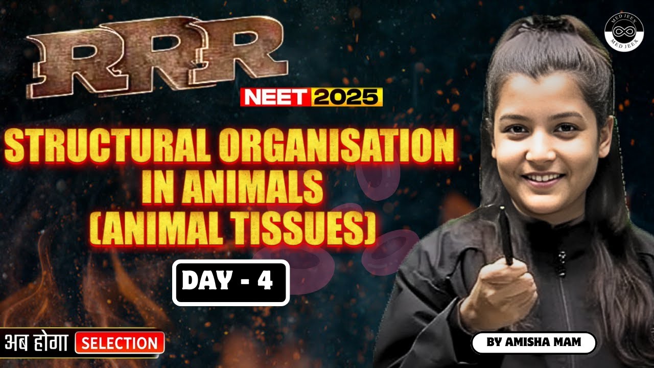 Structural Organisation in Animals (Animal Tissues) in One Shot | RRR ...