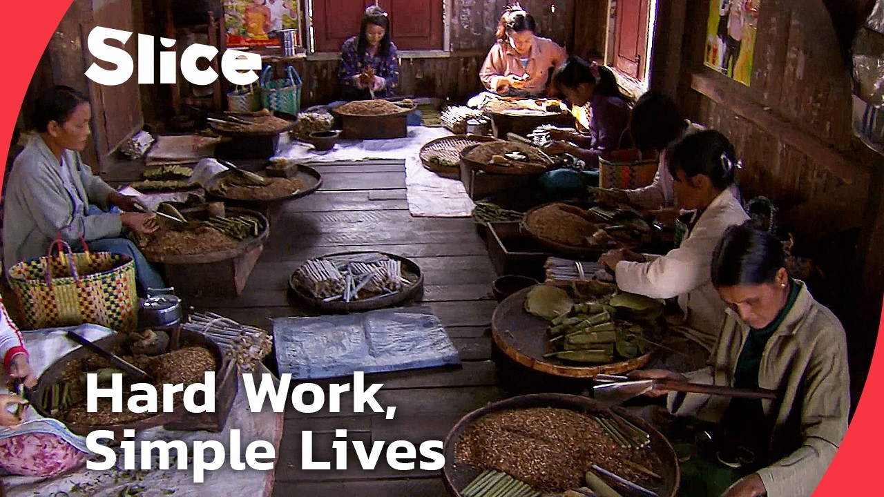 Documentary backdrop image for Getting By in Inle Lake: The Everyday Struggle of Burmese Peasants (2025)