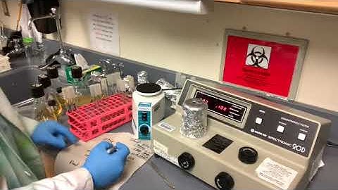 Lab 9 (Part 3 of 3) Effectiveness of Disinfectants