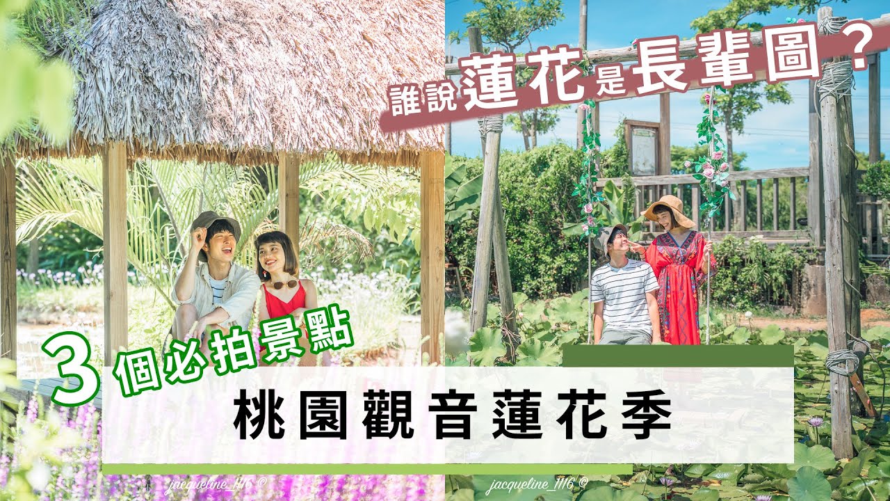 夏天超夯 桃園觀音蓮花季必拍景點誰說拍起來像長輩 Readygo