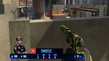 twistzz flickering with usp