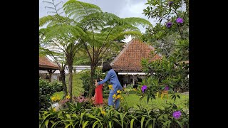 LIVE BALE JONGGOL & PERFUME ✨