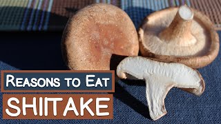 2 Big Reasons to Eat Shiitake Mushrooms | Vitamin D Source?