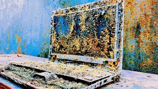 Restoration Of 20 Year Old Asus Laptop Destroyed Restore Broken Laptop Completely