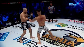 TOP 50 MMA knockouts in 2019