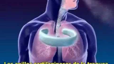 0000001 - Claroline official campus