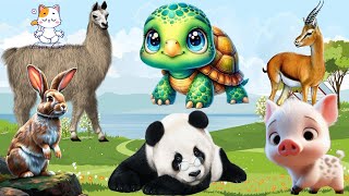Funniest Cute Animal Videos: Pig, Bear, Rabbit, Alpaca, Turtle, Antelope - Lovely Animal Sounds