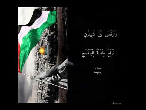 ونحن نحب الحياة 