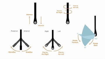 How to use the TEE probe—making sense of the views