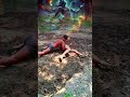 चलती कुश्ती में धोबी दाव कैसे mare 💪💪🤼🤼🥇....#viral #wrestling #kushti #shorts #viralvideo
