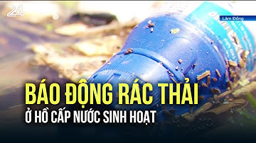 Báo động rác thải ở hồ cấp nước sinh hoạt | VTV24