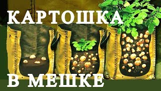 картошка в мешке окучивание удобрение картошки