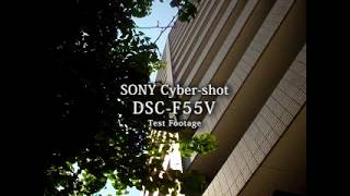 【Test Footage】SONY Cyber-shot DSC-F55V |札幌市円山動物園