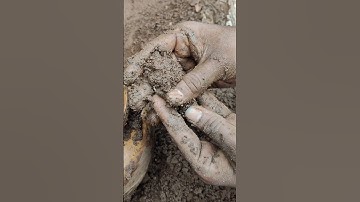 Watch full video ☝🏻#treasurehunt #treasurehunting #metaldetecting #metaldetector #ancient #antique