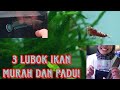 Top 3 kedai ikan terbaik di pasar pudu wajib singgah