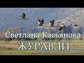 Светлана Касьянова. песня - "Журавли"